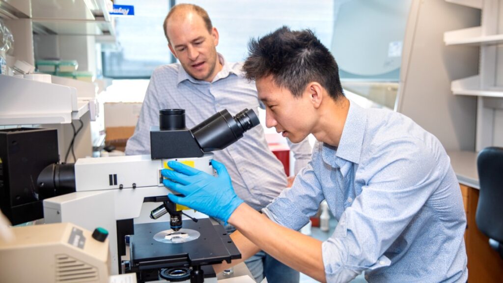 Two men working in a lab, one looking into a microscope wearing blue gloves.
