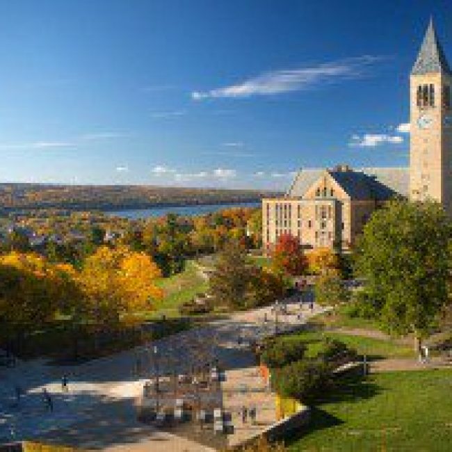 Cornell, partners to make upstate NY a regional engine for better batteries