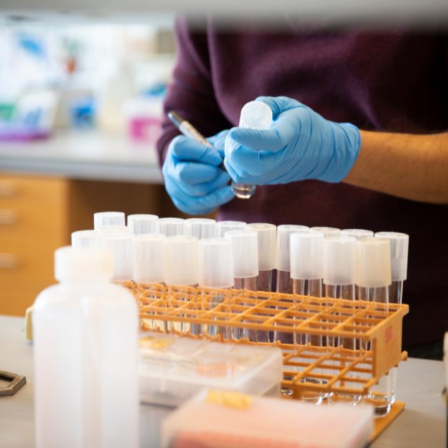 Weill Cornell entrepreneurship symposium touts innovation