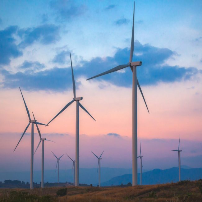 Green Technology Innovation Fellows Welcomes Third Cohort