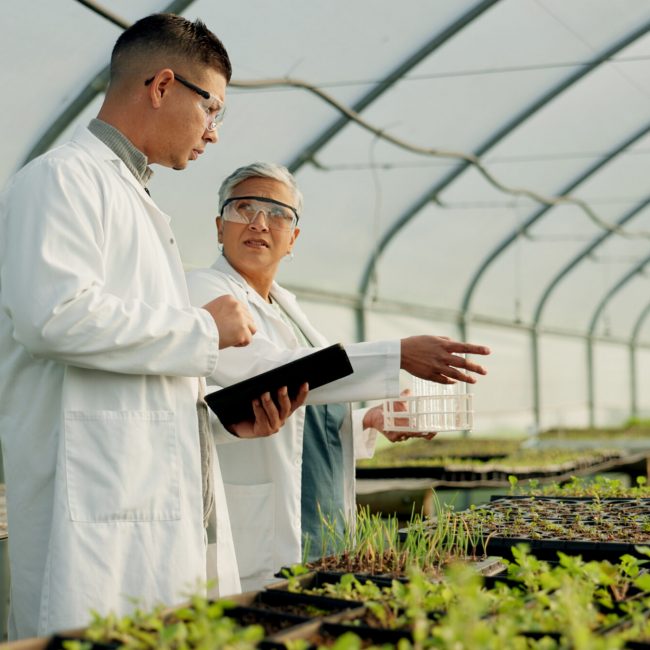 Cornell Welcomes the Fifth Cohort of Life Sciences Innovation Fellows