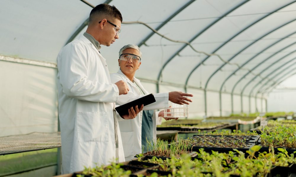 two scientists in greenhouse lab
