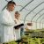 Cornell Welcomes the Fifth Cohort of Life Sciences Innovation Fellows