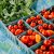 Cornell training program aims to boost NYS food entrepreneurship