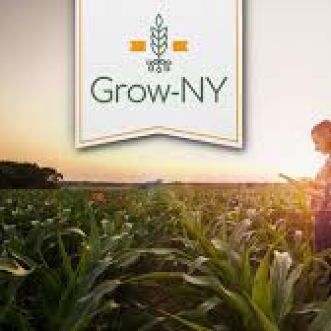 Governor Hochul Announces Round Seven Winners of the Grow-NY International Food and Agriculture Business Competition