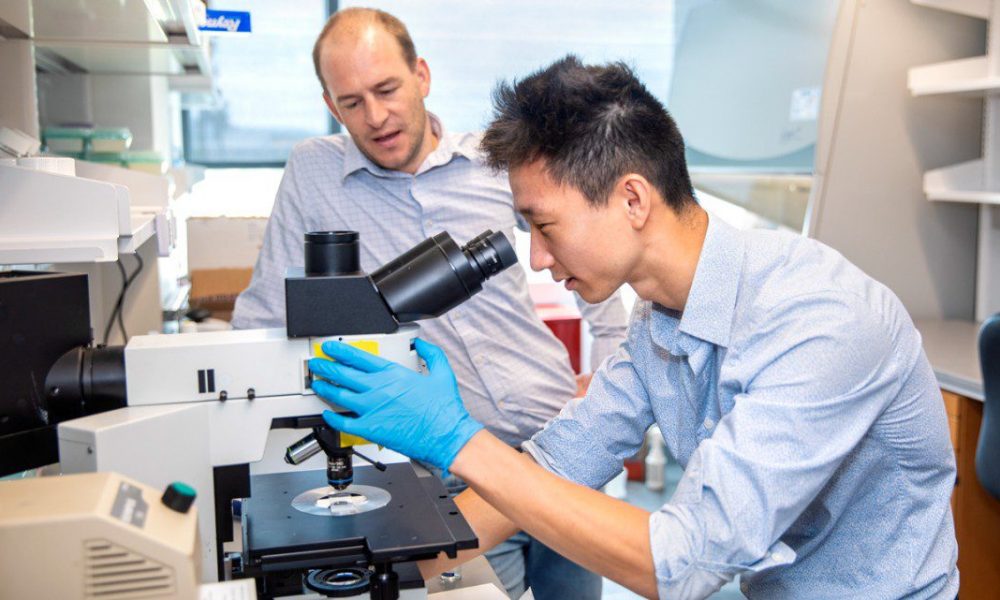 Two men working in a lab, one looking into a microscope wearing blue gloves.