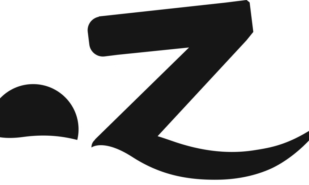 zone swimwear logo