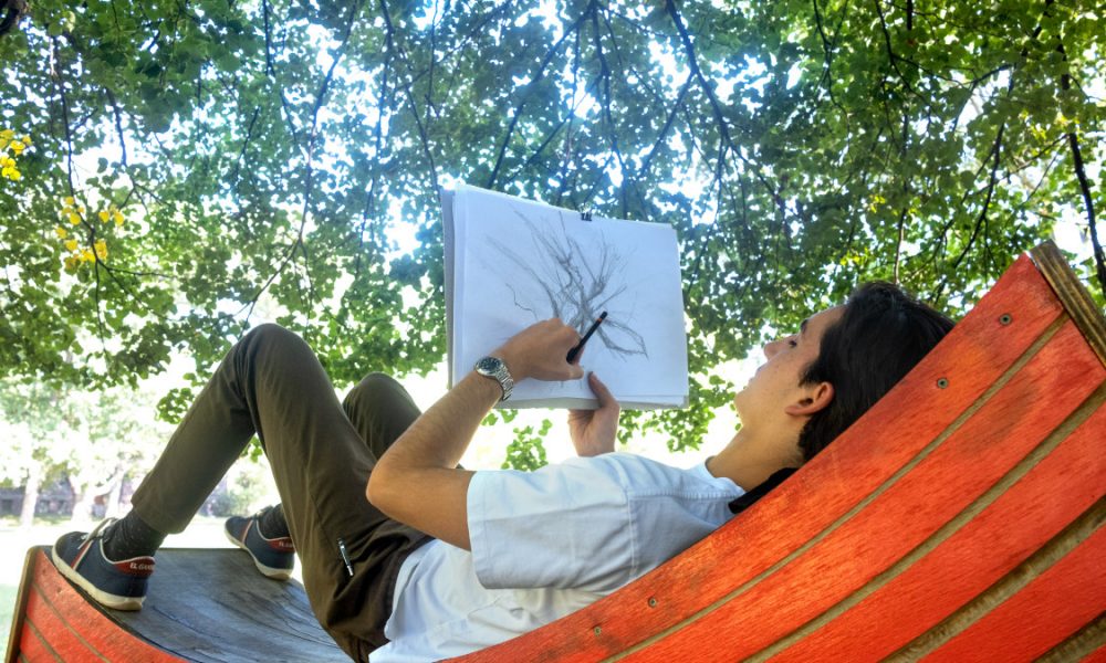 person lounging underneath tree to draw sketch of tree
