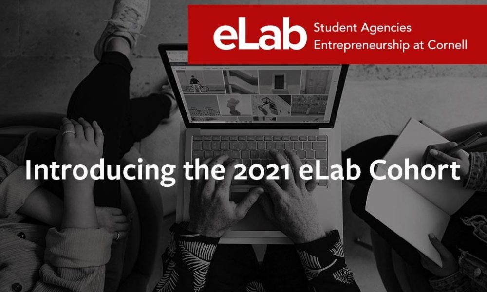 Introducing the 2021 eLab cohort