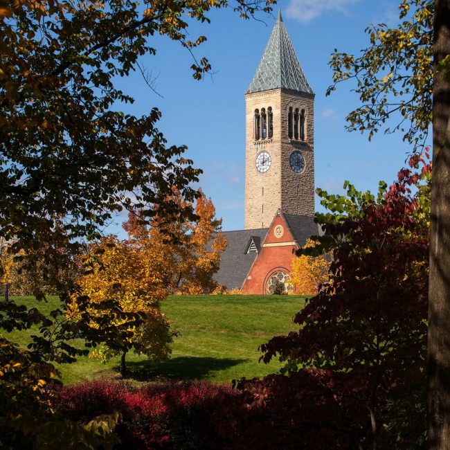 Bank of America and Cornell University Partner to Help Women Entrepreneurs with free online program