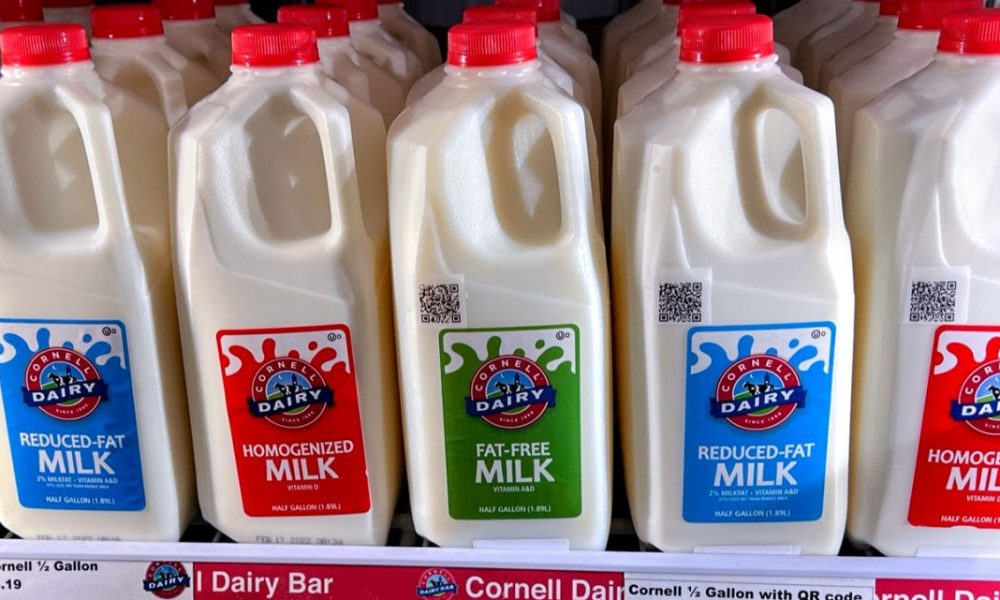 Cornell Dairy Milk