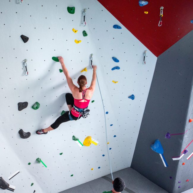 A new gym climbs over COVID obstacles