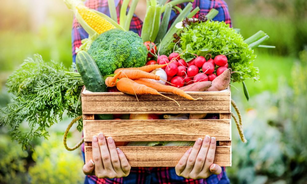 person holding wooden box full of fresh vegetables