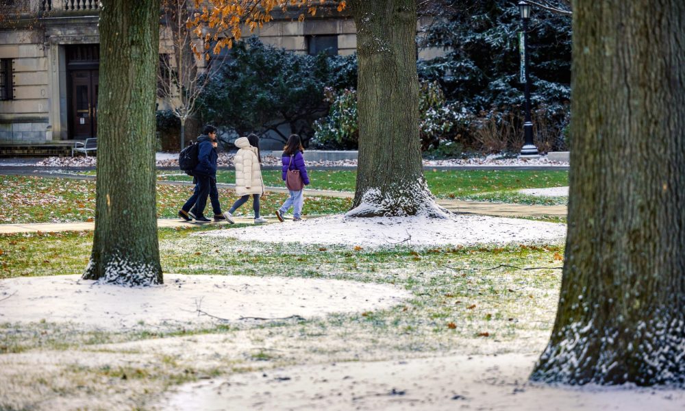 trees with a slightly snow covered ground, people walking in the distance