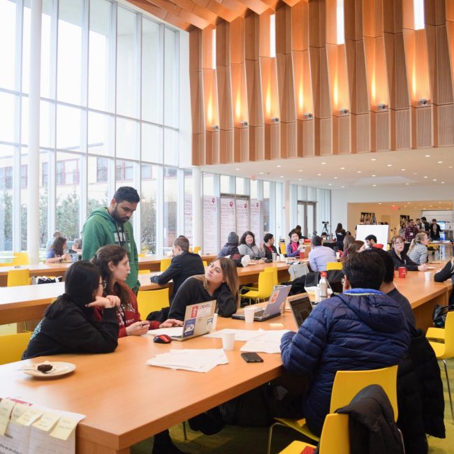 Students Innovate Global Veterinary Solutions at Cornell’s Animal Health Hackathon