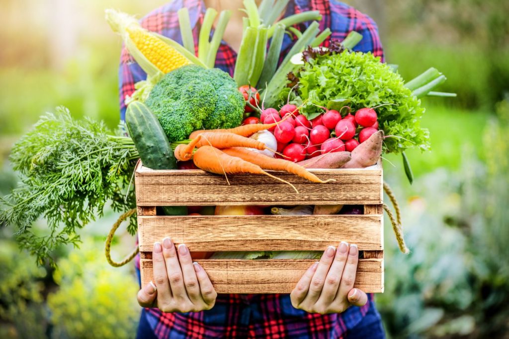 person holding wooden box full of fresh vegetables